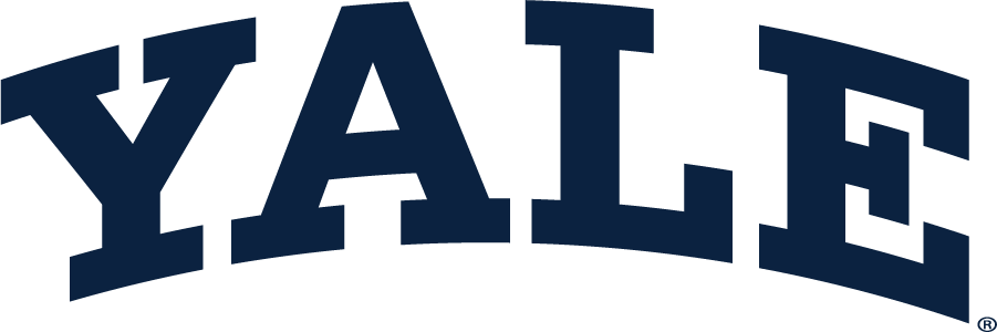 Yale Bulldogs 1935-Pres Wordmark Logo v2 diy DTF decal sticker